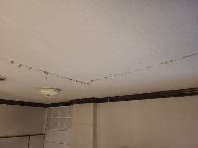 ボードカット 調査 天井 漏水 給湯管取替え工事 戸建 神戸市 トラブラン 
