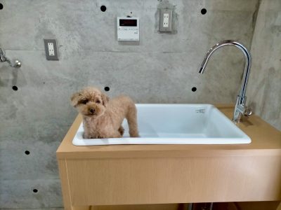 愛犬用 お風呂 ペット用 シャワー シャンプー台 オーダー 神戸市 トラブラン